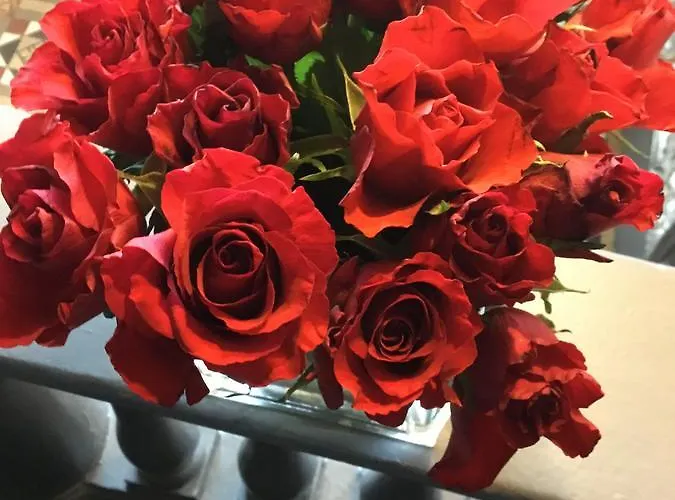 Pensionat Martins 3*