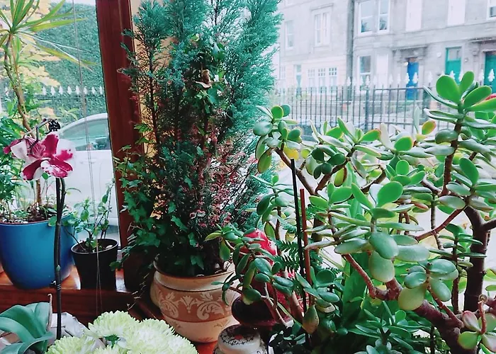 Oda ve Kahvaltı Swan Lake 3*