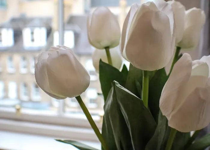 爱丁堡城堡公寓酒店