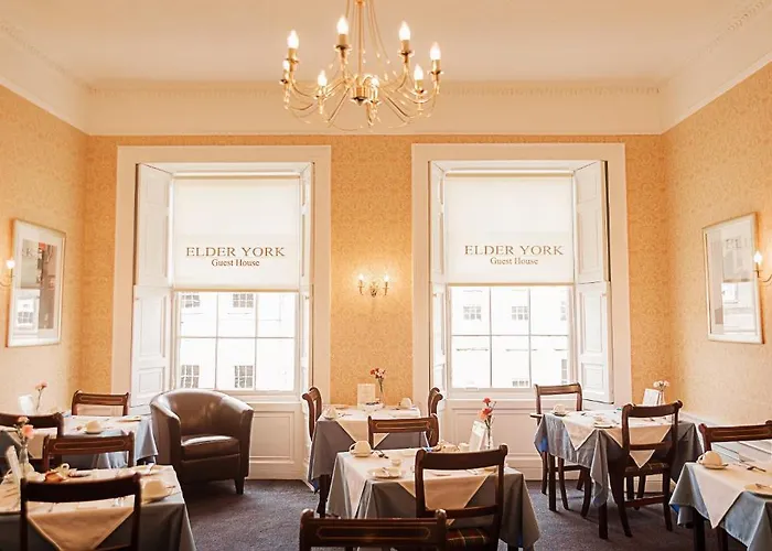 Elder York 3*