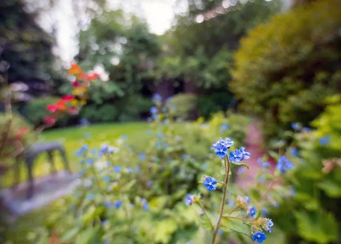 בית הארחה West End אדינבורו