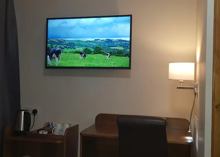 梅菲尔之家旅馆