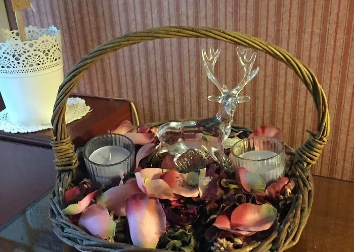 Allison House 16 Edinburgh