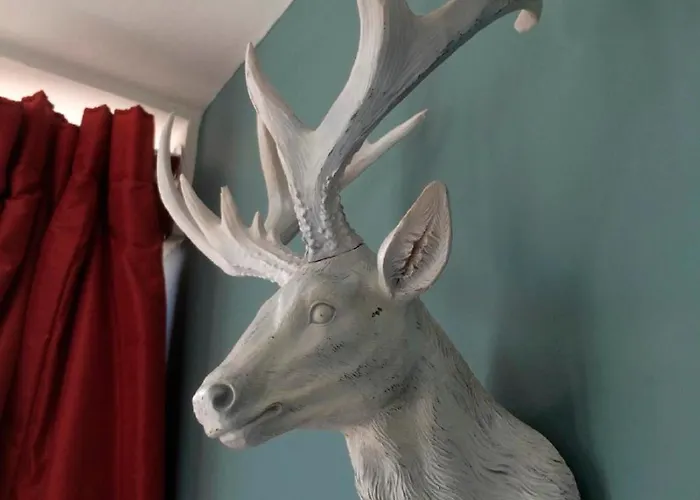 ゲストハウス Albyn Townhouse