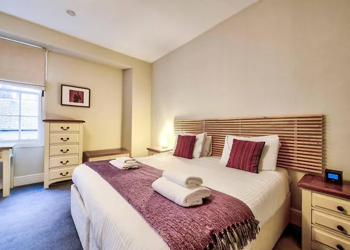 Joivy Stylish In New Town *