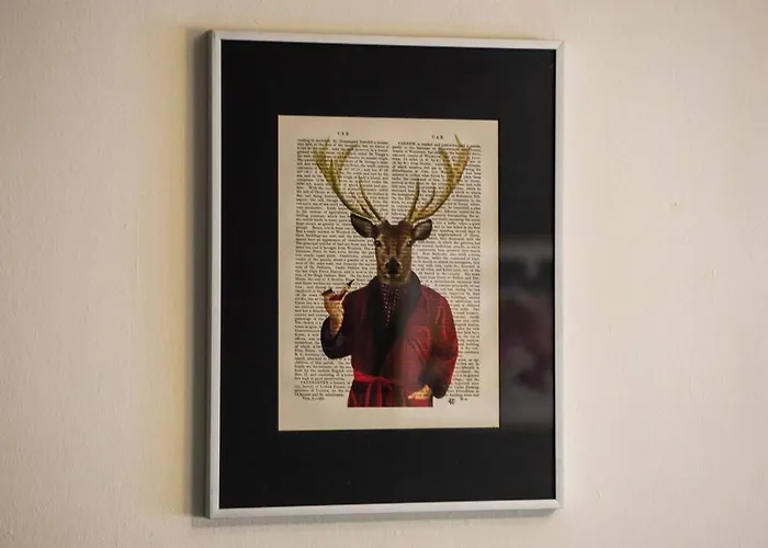 Joivy Stylish In New Town * אדינבורו