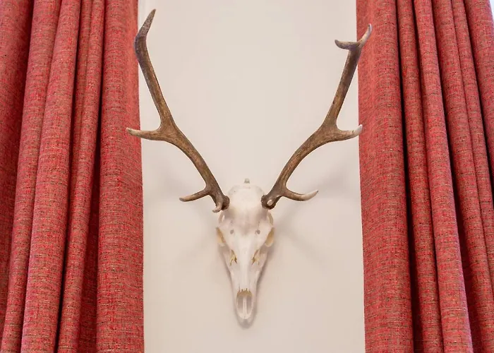 דירה Joivy Spacious Flat With Garden In Centre *