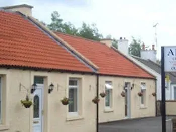 Alpha Bed and Breakfast