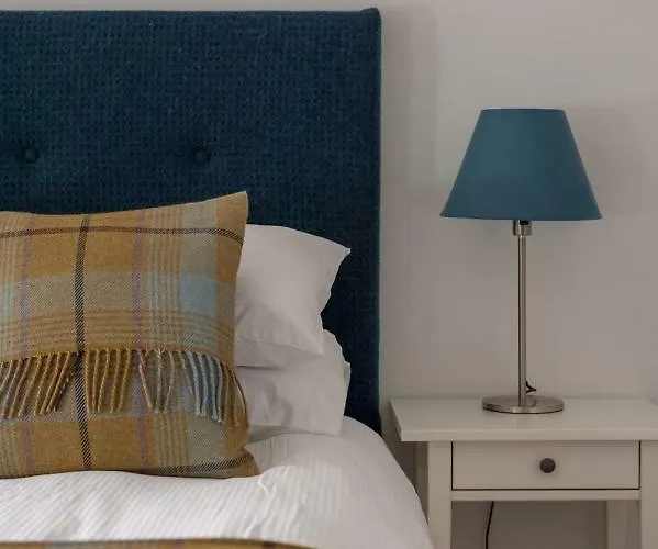 The Wee Highland Coo Edinburgh