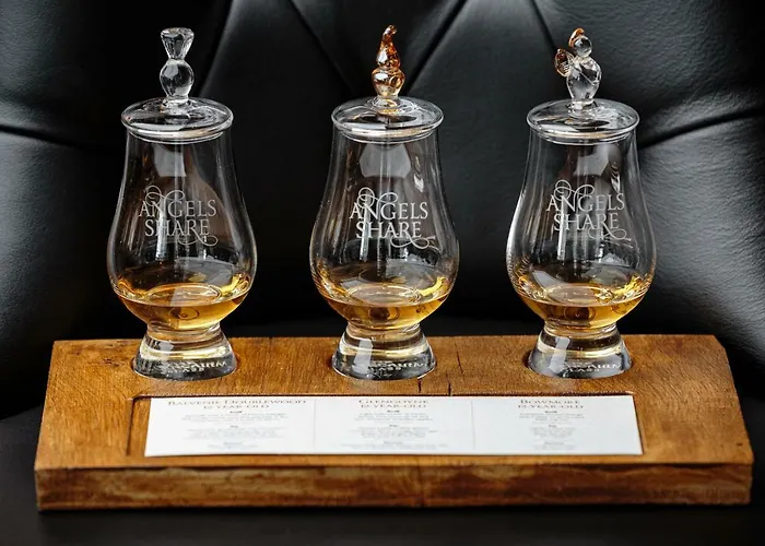 酒店 天使分享酒店