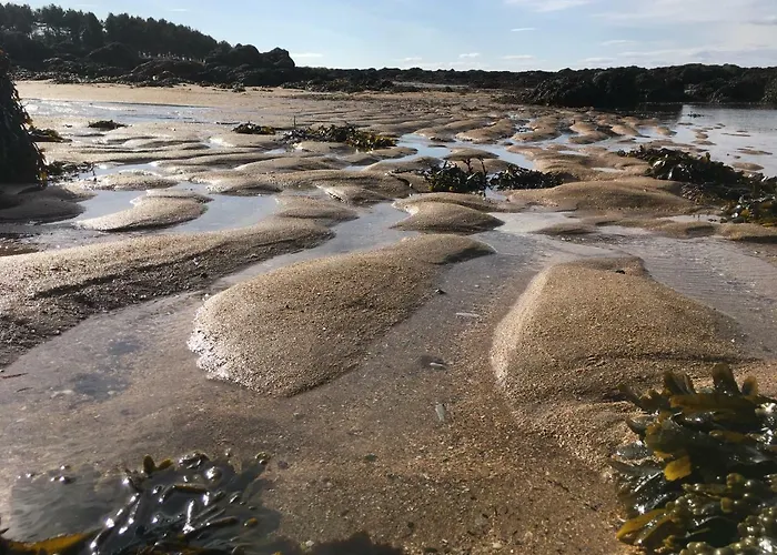 Apartment Cozy With Character Vibrant Style Flat At Leith Links Park *