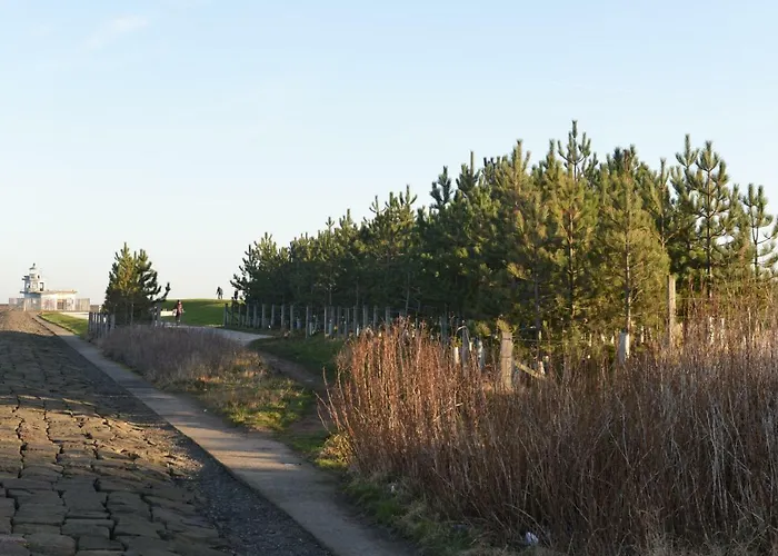 Matysiak إدنبرة