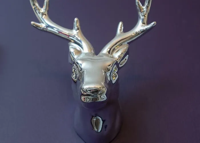 The Bonnie Bide Awa' Apartament *