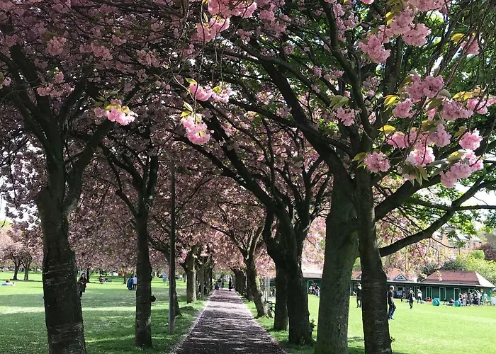 Lothian Center Эдинбург