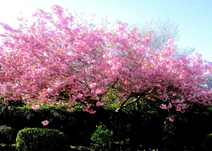 招待所 The White House 爱丁堡