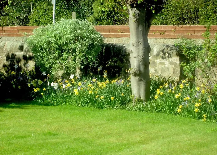 The White House 招待所 *