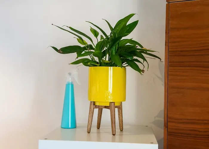 Modern Flat With Fantastic Views By The Royal Mile *