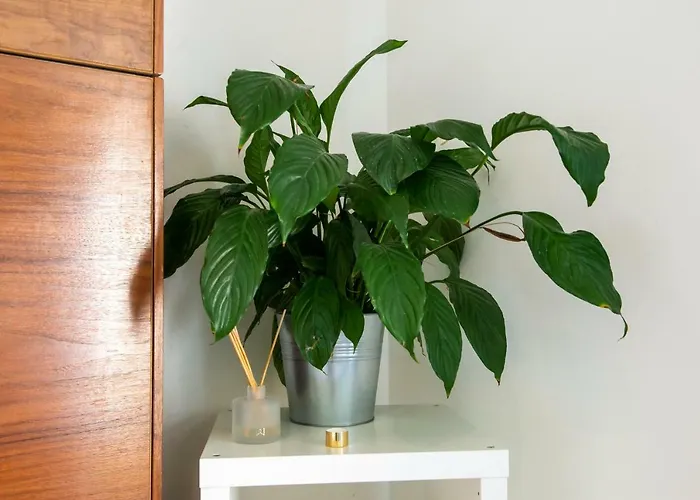 Modern Flat With Fantastic Views By The Royal Mile דירה