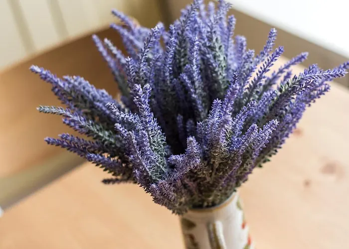 דירה Spacious & Unique 1 Bed With Wifi אדינבורו