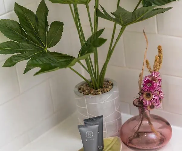 Charming, & Spacious Georgian 3 Bed Apartmán