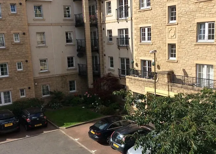 20/5 Timber Bush