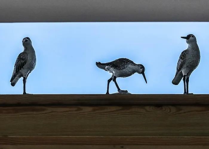 公寓 Ark At Anchor 爱丁堡