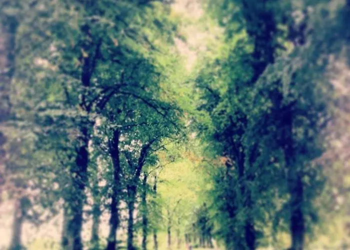 5 Star Beautiful & Vintage, Spacious In Chic Location! * إدنبرة