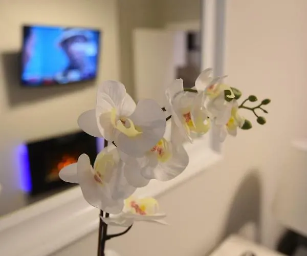 公寓 Slateford House Ground Floor Main Door 爱丁堡