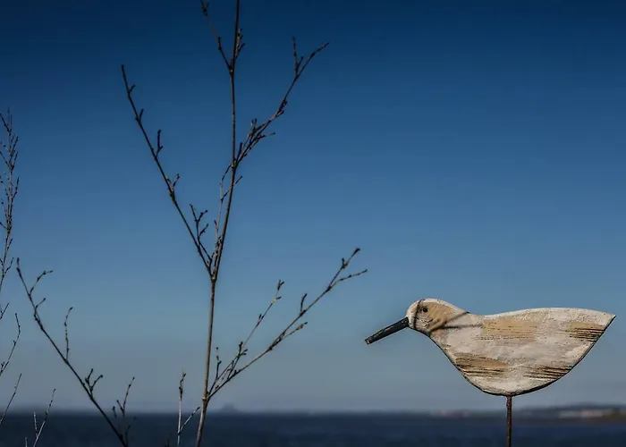 Ark At Anchor 公寓 爱丁堡