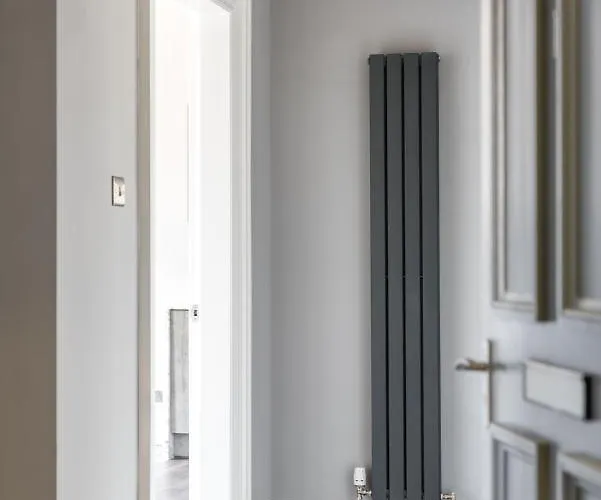 Spacious Newly Refurbished