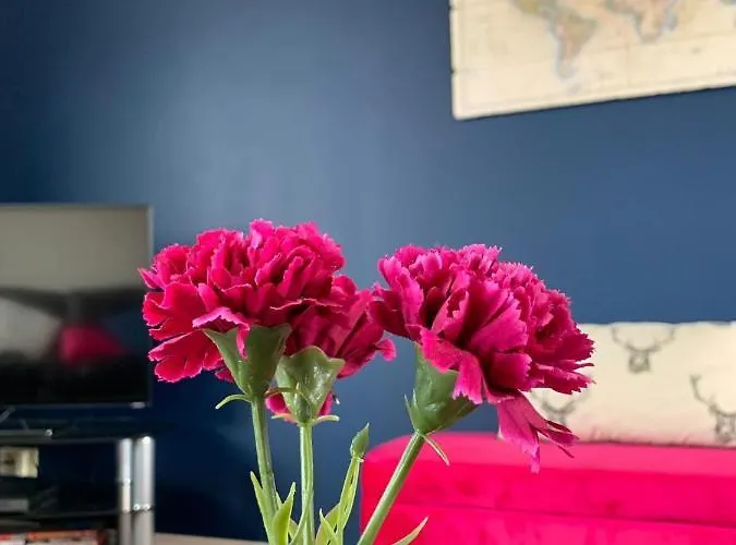 דירה 5 Bedroom Penthouse *