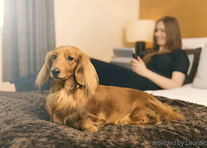 Aparthotel Fountain Court - Harris 4*