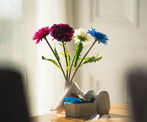 Duthus Pensjonat Edynburg