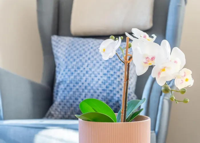 The Waverley Park Terrace Εδιμβούργο