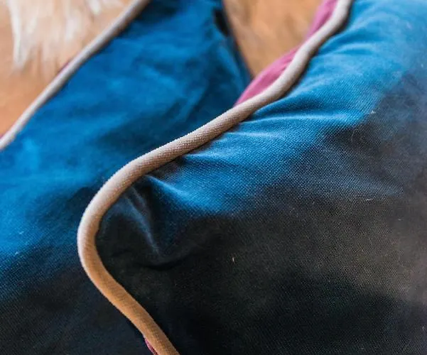 Dom wakacyjny 3c Dublin Street Edynburg