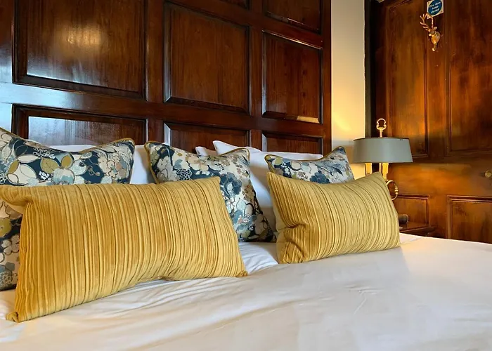 23 Mayfield Affittacamere Edimburgo