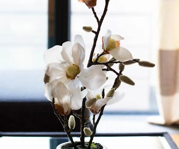 Quartermile אדינבורו