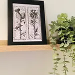 Ξενοδοχείο My-canning Street *