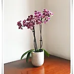 Apartamento Spacious And Modern 2 Bedroom Flat Near The Centre