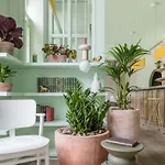 Eden Locke Hotel 4*