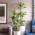 Lägenhetshotell Heeton Concept Queen Street Edinburg