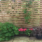 Wardie Garden *
