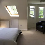 Alba House Vendégház 3*