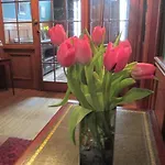 22 Chester Street 4*