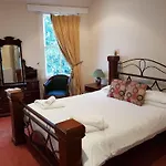 Cedar 3*