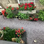Πανσιόν 22 Chester Street 4*