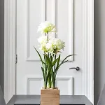 Appartement Spacious Newly Refurbished *