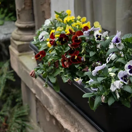 Georgian House 4* Edinburgh