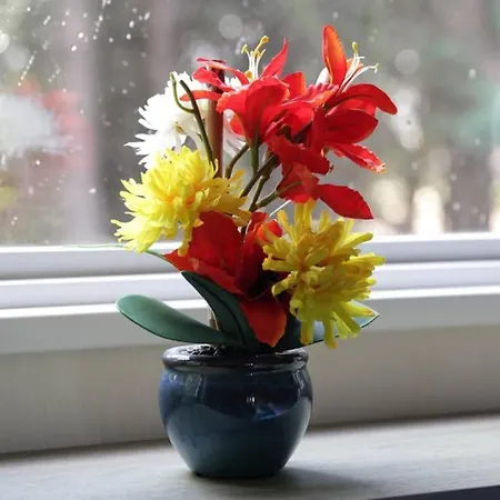 Feriehus - Seton Sands-cameo Caravan-pet Friendly