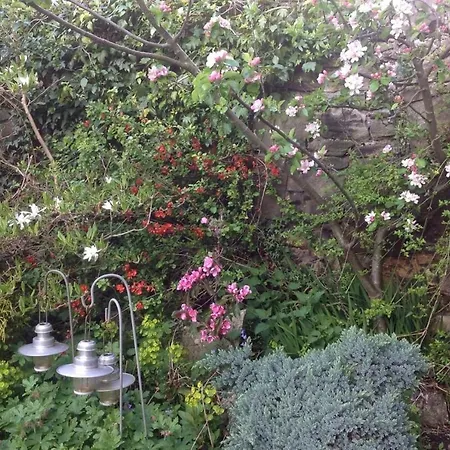 Botanic Garden Apartment Edinburgh